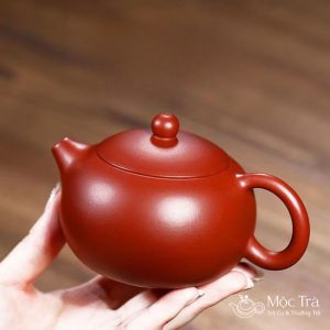Hướng dẫn sử dụng và bảo quản ấm tử sa ATS60